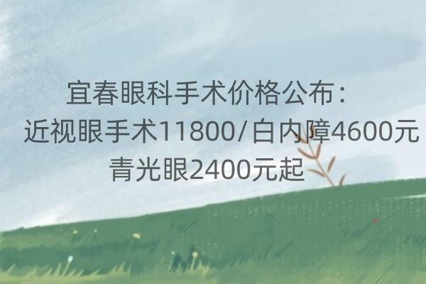 宜春眼科手术价格www.jingansicbd.com.jpg