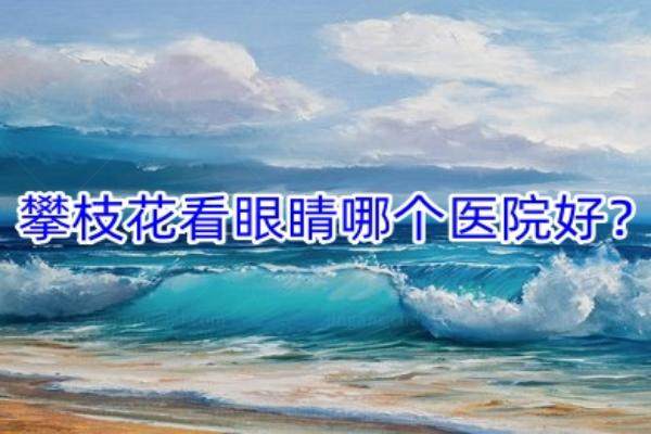 攀枝花看眼睛哪个医院好www.jingansicbd.com.jpg