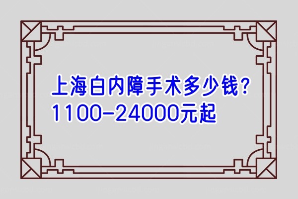 上海白内障手术多少钱？1100-24000元起.jpg