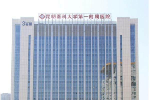 www.jingansicbd.com昆明医科大学<span style=