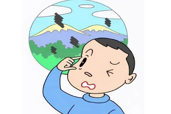 爱尔眼科飞蚊症消融术收费一览www.jingansicbd.com