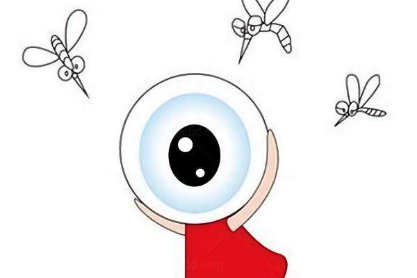 爱尔眼科飞蚊症消融术收费一览www.jingansicbd.com