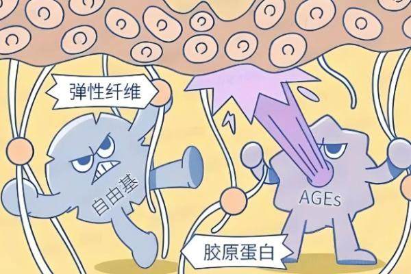 madm胶原蛋白是什么材料