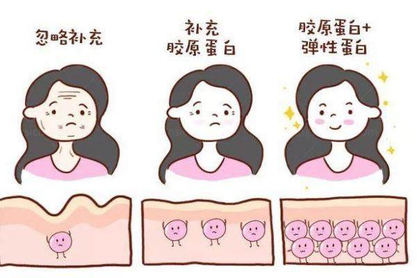 madm胶原蛋白能用于隆胸吗
