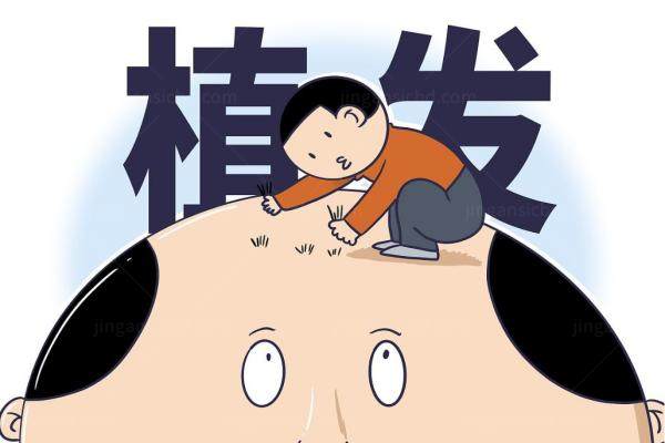 不剃发植发存活率.jpg