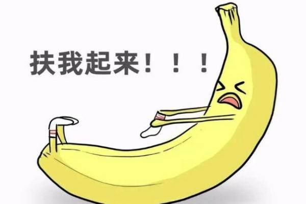 生物补片可以增粗延长吗