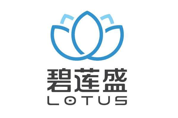 碧莲盛植发3000毛囊要多少钱