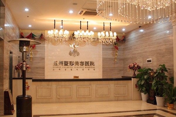 严飞.jpg
