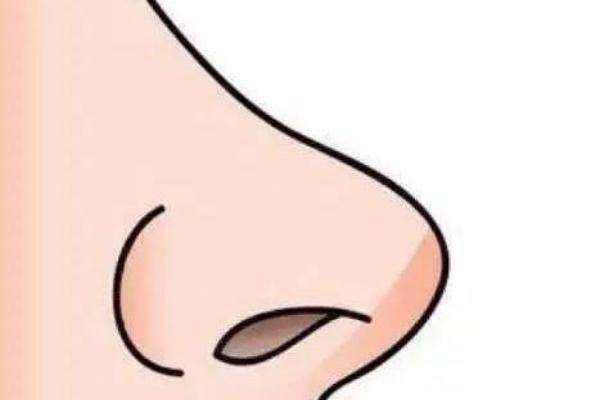 人工骨隆鼻一般多少钱