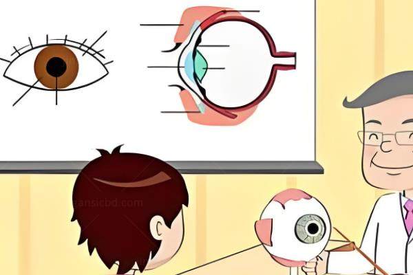 后巩膜加固术患者自述:薛<span style=