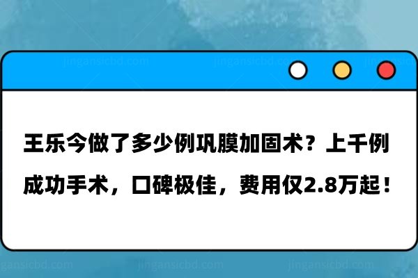 王乐今做了多少例巩膜加固术