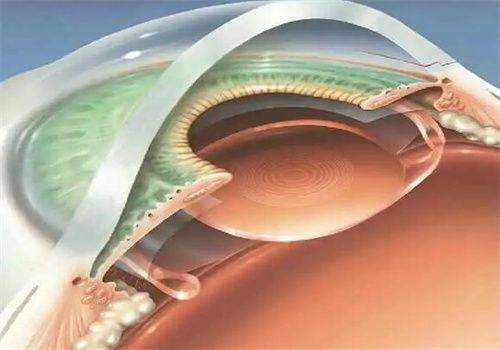 吉大二院眼科吴荒在哪个院区?多院区出诊时间周五下午也有,抓紧!