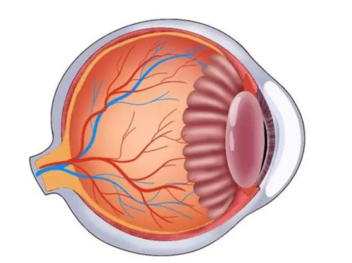 海口国爱眼科靠谱吗?资质正规靠谱/近视治疗中心体验超棒!