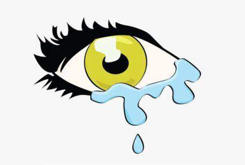 二、进口人工晶体品牌排行?