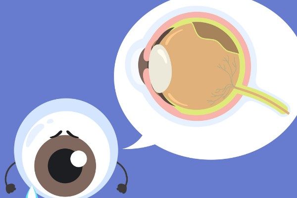 失明换一只眼睛大概费用不固定,大概在10000 - 50000元眼睛附失明能换眼的情况分享