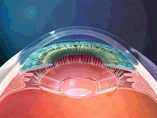 三、视百年护眼产品的成效怎么样？