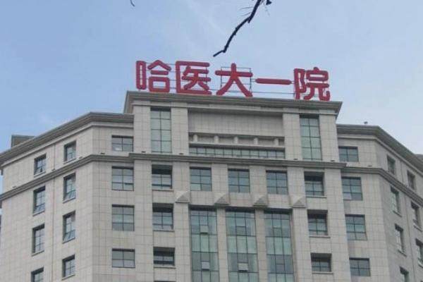 哈医大一院眼科张弘出诊时间公布！群力院区7:30现场加号规则揭秘